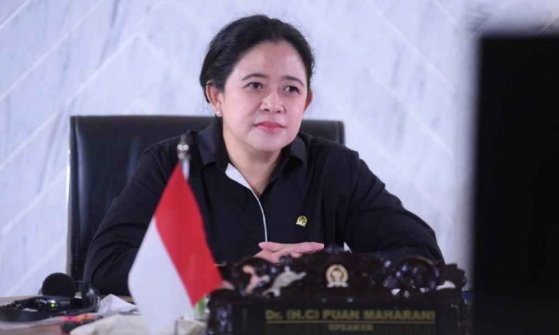 Ketua DPR RI Dr. (H.C) Puan Maharani ( foto Istimewa )