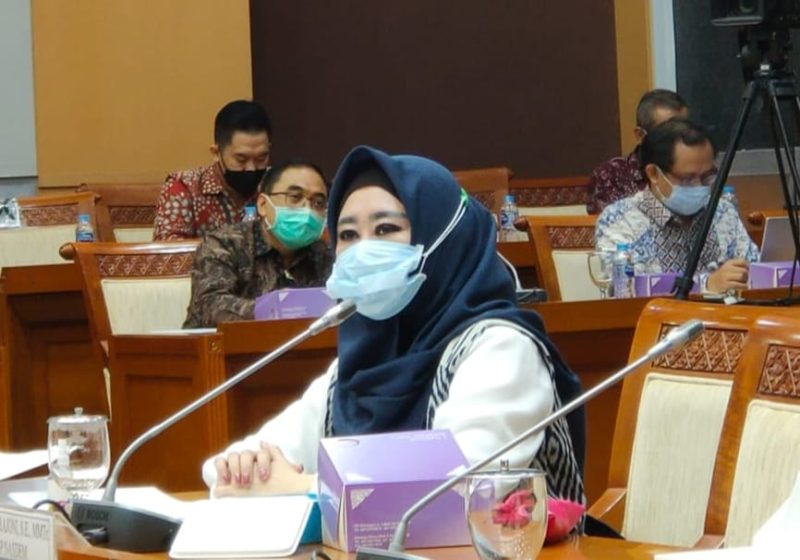 Anggota Komisi VIII DPR RI Lisda Hendrajoni / foto istimewa