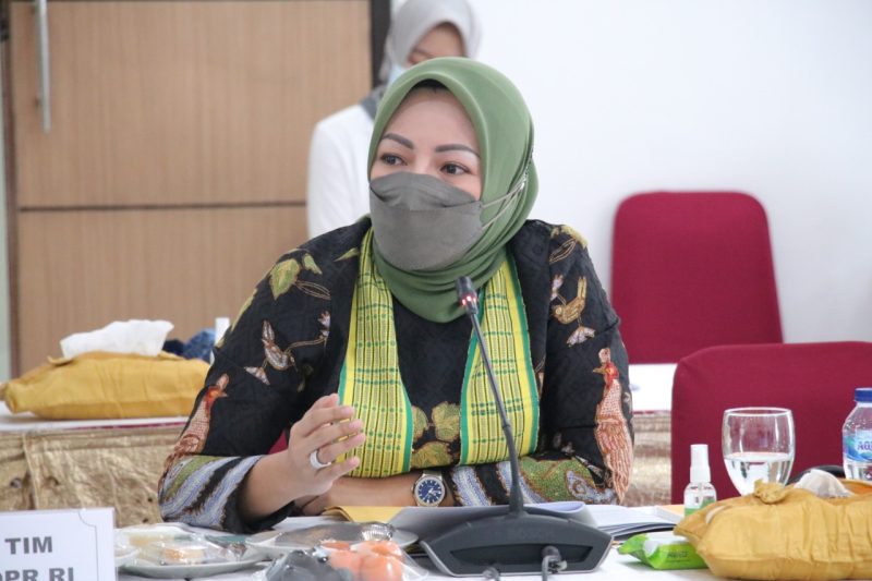 Anggota Komisi III DPR RI Adde Rosi Khoerunnisa ( foto istimewa )