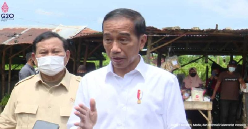 Presiden Joko Widodo / foto ist