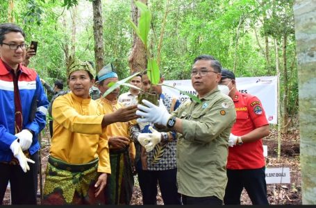 Wamen LHK – Alue Dohong, Apresiasi Program Mitigasi Karhutla Kampung Gambut Berdikari, Binaan Kilang Sei Pakning
