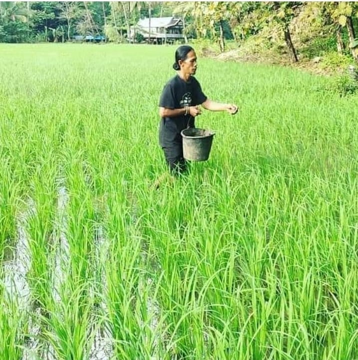 Tingkatkan Kapasitas Dan Mutu Benih, Kementan Dorong Peran Penangkar