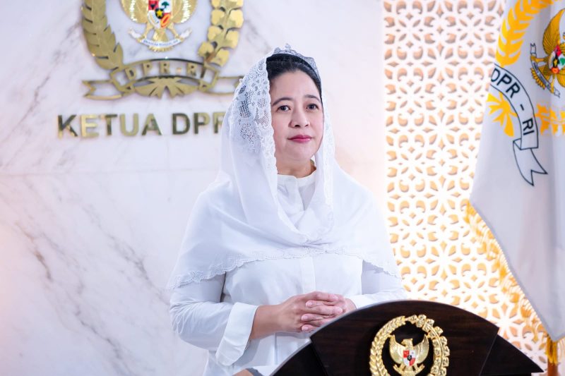  Ketua DPR RI Dr. (H.C) Puan Maharani ( foto Istimewa )