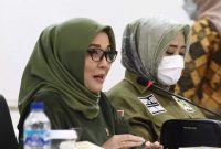  Aji Mirni Mawarni ( foto Istimewa )