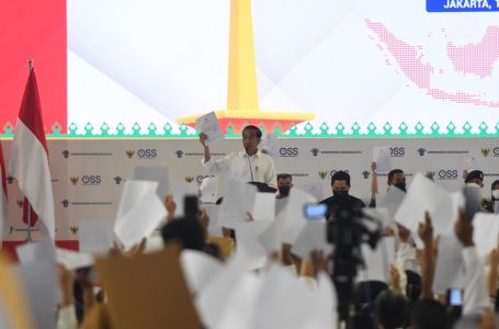 Presiden Joko Widodo Dorong Digitalisasi Perizinan Bagi UMK