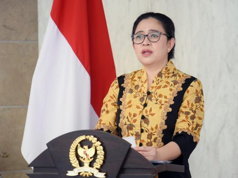 Ketua DPR RI Puan Maharani / foto ist