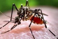 ilustrasi / foto ist