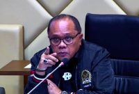 Wakil Ketua Komisi II DPR RI Junimart Girsang. / foto ist