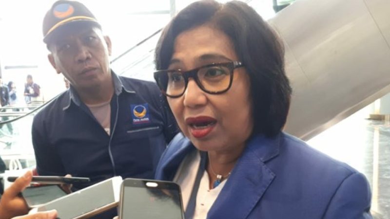 Anggota Komisi IX DPR RI Irma Suryani / foto istimewa