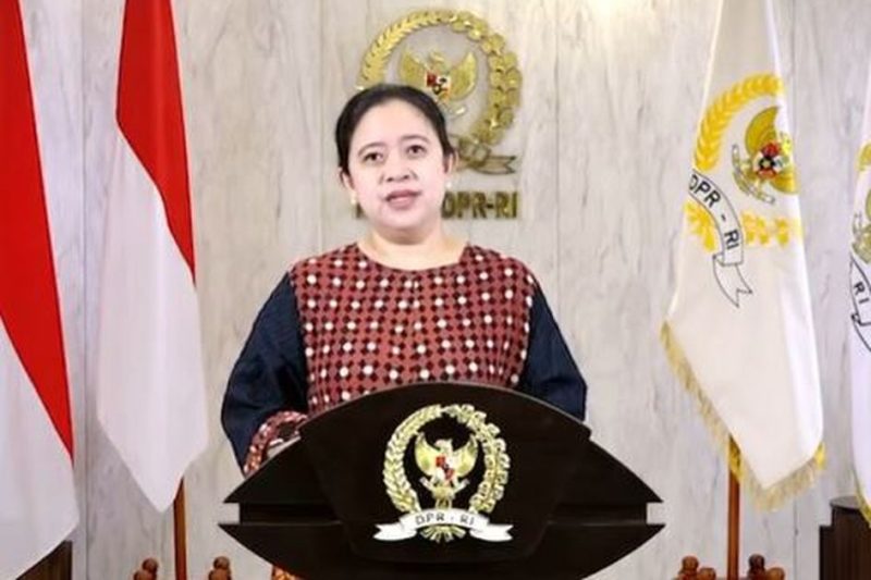 Ketua DPR RI Dr. (H.C) Puan Maharani. / foto istimewa