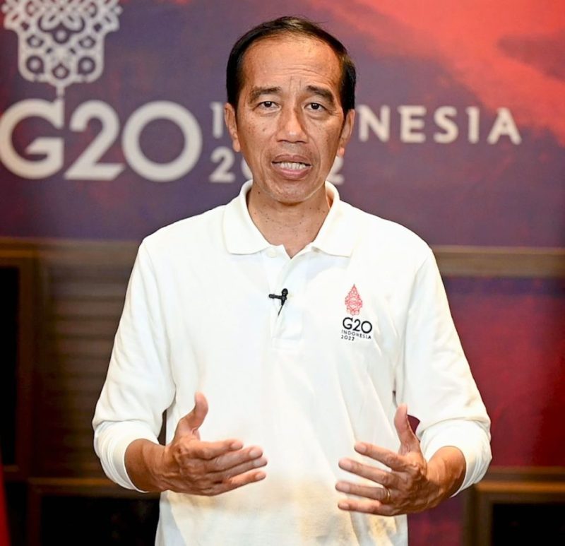 Presiden Jokowi (Foto: BPMI Setpres)
