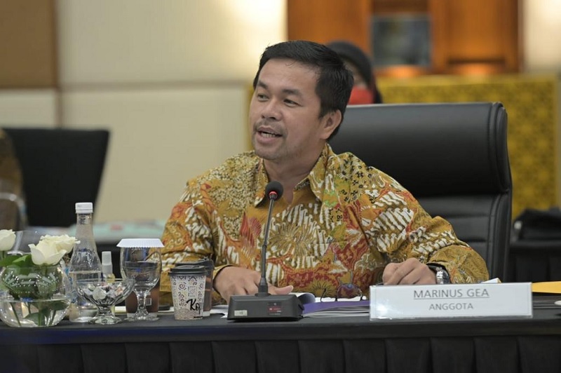 Anggota Komisi XI DPR RI Marinus Gea. / foto istimewa