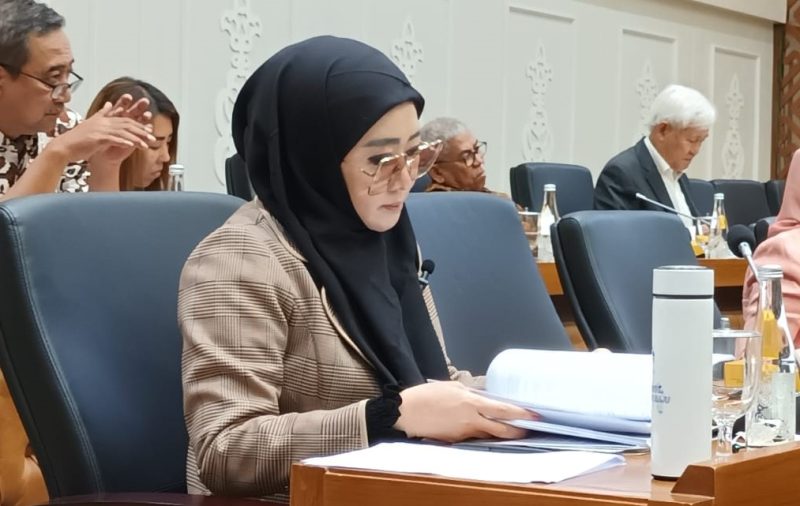 Anggota Badan Legislasi (Baleg) DPR dari Fraksi Partai NasDem Lisda Hendrajoni / foto ist