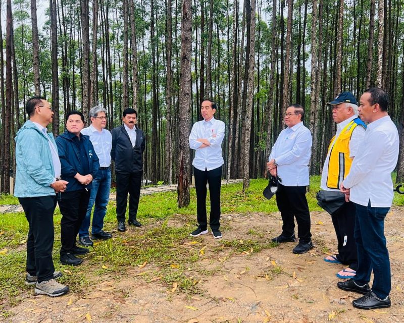 Presiden Jokowi tampak menikmati suasana alam setelah hujan di lokasi tempatnya bermalam, di IKN, Kabupaten Penajam Paser Utara, Kalimantan Timur, pada Jumat (24/02/2023)./ foto ist