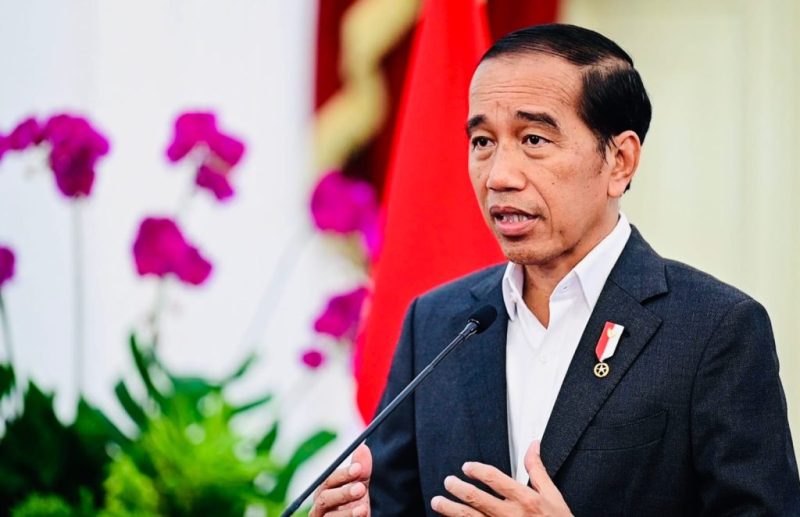 Presiden Jokowi (Foto: BPMI Setpres)
