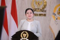 Ketua DPR RI Dr.(H.C) Puan Maharani / foto istimewa