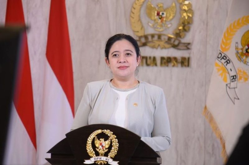 Ketua DPR RI Dr.(H.C) Puan Maharani / foto istimewa
