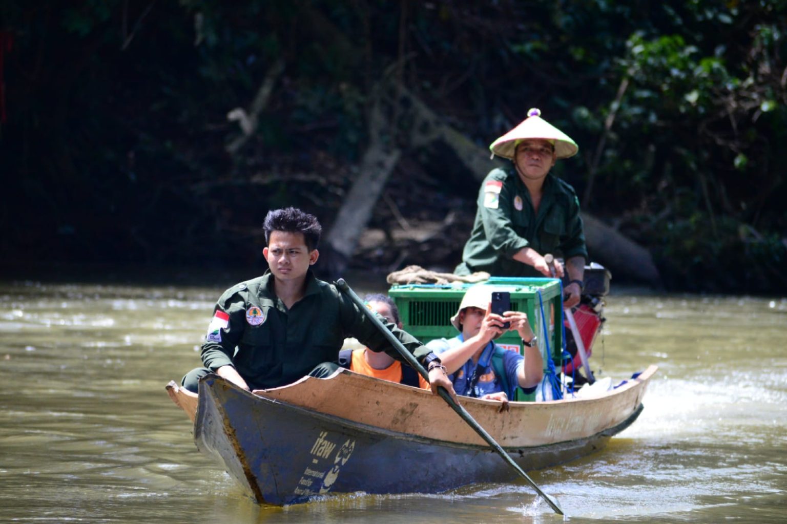BKSDA Kaltim Lepasliarkan Tiga Individu Orangutan Di Hutan Lindung