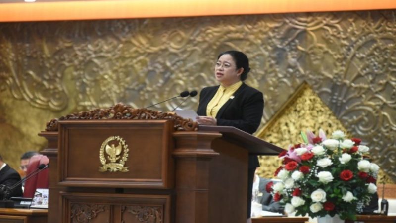 Ketua DPR RI Puan Maharani / foto ist