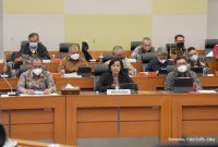 ilustrasi / foto ist