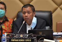 Ketua Komisi V DPR RI Lasarus  / foto ist