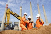 Petugas PLN Indonesia Power melakukan pengecekan terhadap biomassa sawdust yang akan digunakan sebagai substitusi bahan bakar batu bara atau co-firing di Pembangkit Listrik Tenaga Uap (PLTU) Suralaya, Cilegon, Banten.