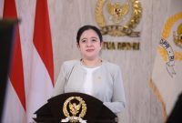 Ketua DPR RI Dr. (H.C) Puan Maharani / foto ist