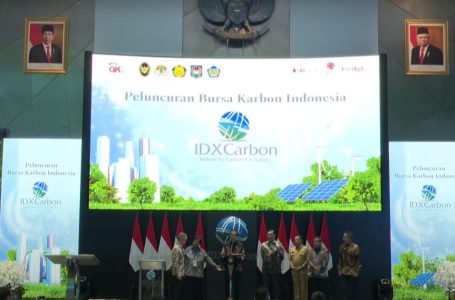 Kontribusi Nyata Indonesia Hadapi Perubahan Iklim,  Jokowi Luncurkan Bursa Karbon Indonesia