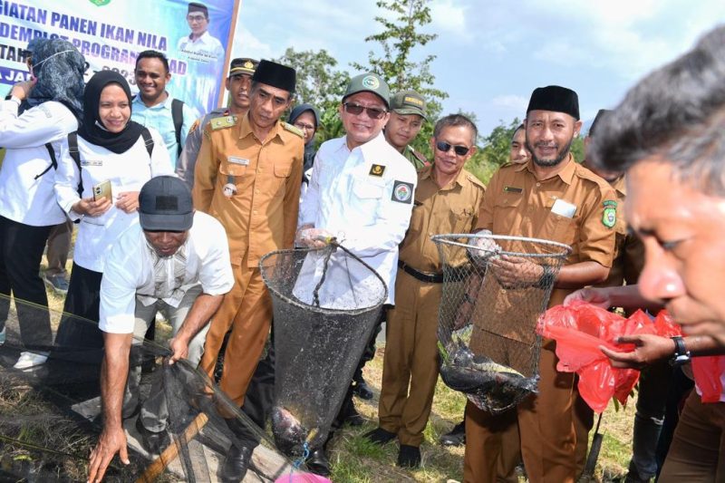 ekretaris Jenderal Kementerian Desa, Pembangunan Daerah Tertinggal dan Transmigrasi Taufik Madjid menghadiri Kegiatan Perancangan Agrowisata Jarakore dan Panen Ikan Nila Hasil Demplot Kegiatan Program “TEKAD” di Desa Jarakore, Kec Sahu,Halmahera Barat,Maluku Utara. Senin (4/9/2023)

Foto: Mugi/Kemendes PDTT