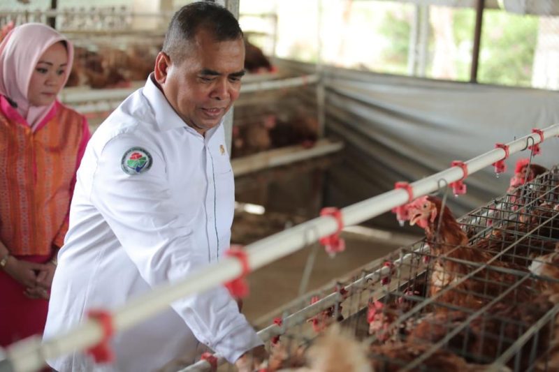 YOGYAKARTA - Wakil Menteri Desa, Pembangunan Daerah Tertinggal dan Transmigrasi (Wamendes PDTT) Paiman Raharjo meninjau Balai Besar Latihan Masyarakat (BBLM), pada Kamis 
7/9/2023.
Foto : Angga/KemendesPDTT