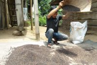 ilustrasi / foto ist