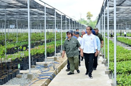 Persemaian Mentawir Hampir Selesai, Jokowi: Ini untuk Hijaukan IKN