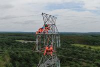 Personil PLN saat melakukan pemeliharaan pada jaringan transmisi di Sistem Interkoneksi Kalimantan untuk memastikan keandalan listrik.