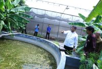 DENPASAR - Wakil Menteri Desa, Pembangunan Daerah Tertinggal, dan Transmigrasi Paiman Raharjo membuka dan memberikan arahan kepada peserta pelatihan di Balai Pelatihan Masyarakat Denpasar-Bali. Selasa, 3 Oktober 2023   

Foto: Didi Humas Kemendesa