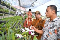 Menteri Desa, Pembangunan Daerah Tertinggal, dan Transmigrasi Abdul Halim Iskandar didampingi Istri Lilik Umi Nasriyah, Dirjen PEID Harlina Sulistyorini, Wakil Bupati Malang Didik Gatot Subroto menghadiri Penandatanganan Perjanjian Kerja Bersama Budidaya dan Perdagangan Tanaman Anggrek Antara BUMDesa LKD Singosari dengan PT.Java Indo Arjuna (PT.JAVINA) sekaligus Meresmikan Griya Anggrek Singosari.
Kabupaten Malang, Jawa Timur, Minggu (8/10/2023).

Foto : Mugi / Kemendes PDTT