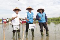 Direktur Utama PLN Darmawan Prasodjo (tengah) bersama jajaran dan Kepala Biro Infrastruktur dan Sumber Daya Alam Sekretariat Daerah Provinsi Jawa Tengah Dadang Somantri saat melakukan penanaman mangrove seluas 10 hektar di kawasan konservasi Pasarbanggi, Rembang, Jawa Tengah.