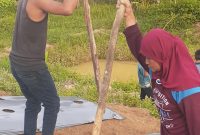 Nenek Sunarti (kanan) sedang menugal (membuat lubang) untuk ditanami cabe, didampingi salah seorang putranya Arif (kiri). (Foto/fay)