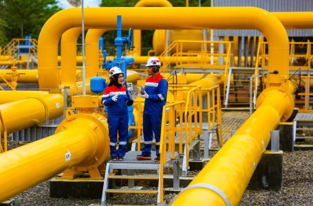 PGN dan IAE Koordinasi Intensif Tindaklanjuti Rekomendasi BPK