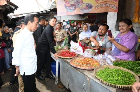 Jokowi Cek Harga Bahan Pokok di Pasar Mungkid Magelang
