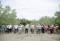 Bersinergi dengan Kementerian Koordinator Bidang Kemaritiman dan Investasi, Kementerian Lingkungan Hidup dan Kehutanan, dan Pemerintah Provinsi Nusa Tenggara Timur (NTT), PLN menggelar aksi penanaman 1.000 pohon mangrove dalam peringatan Hari Bakti Rimbawan ke-41 di Desa Tanah Merah, Kecamatan Kupang Tengah, Kabupaten Kupang pada Kamis (7/3).