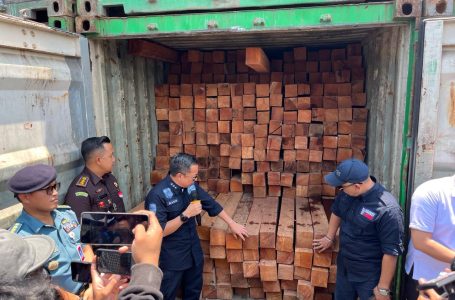 Tindak 55 Kontainer Berisi Kayu Olahan Ilegal Asal Kalimantan Demi Kekayaan SDA