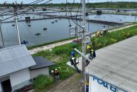 Petugas PLN melakukan penyambungan listrik untuk tambak udang  PT Wahana Lestari Investama (WLI) 1.110 kVA.