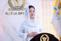 Ketua DPR RI Puan Maharani / foto ist