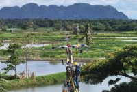 Upaya petugas PLN dalam menerangi dengan melakukan pembangunan Jaringan Tegangan Menegah (JTM) di Dusun Buttue, Desa Kanaungan Kabupaten Pangkajene Kepulauan, Provinsi Sulawesi Selatan.