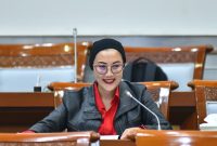 Anggota Komisi VIII DPR, Selly Andriany Gantina / foto ist