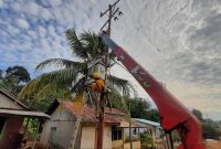 Petugas PLN sedang melakukan pemasangan trafo menggunakan crane pada proyek lisdes di Desa Sukabangun, Kabupaten Bengkayang, Kalimantan Barat.