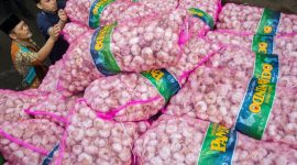 ilustrasi / foto ist