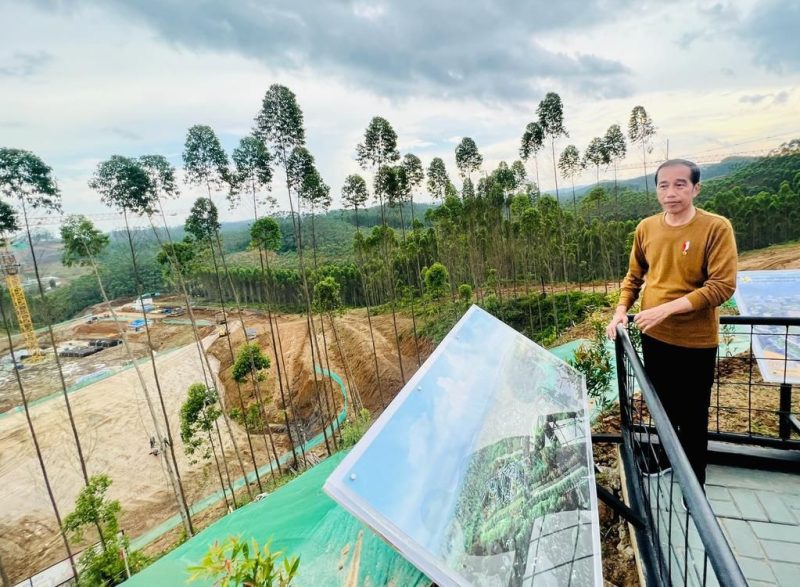 Presiden Joko Widodo / foto ist