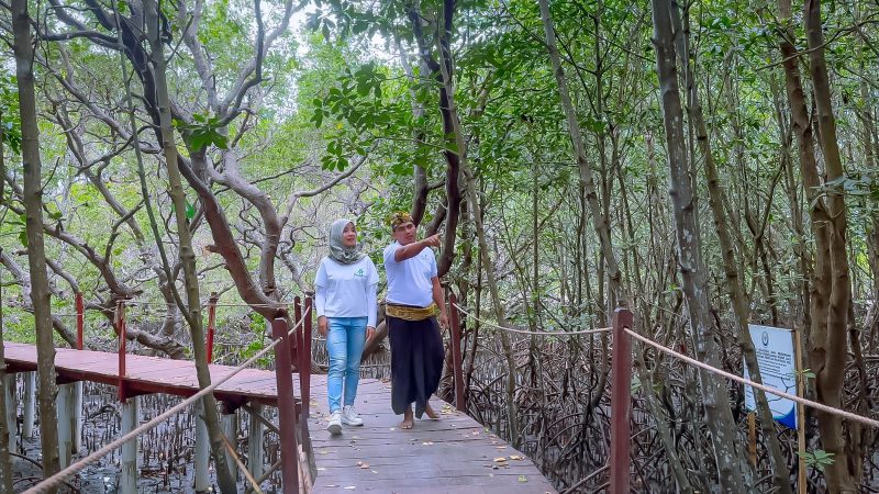 PLN melalui Program Desa Berdaya berhasil mendorong peningkatan ekonomi dan pelestarian lingkungan di kawasan wisata Jerowaru, Kabupaten Lombok Timur, NTB. Melalui program ini PLN berhasil merevitalisasi area hutan seluas 1.673 hektar.