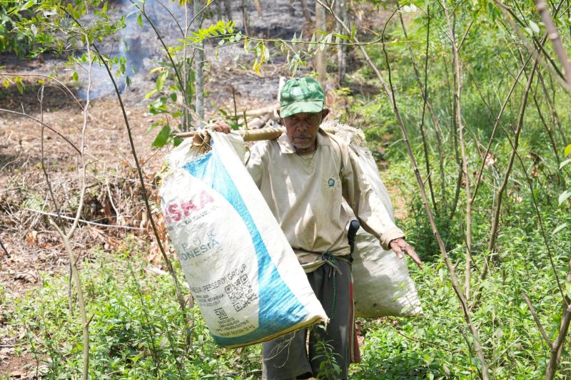 Seorang warga Desa Bojongkapol, Tasikmalaya mengangkut daun untuk pakan ternak dari tanaman indigofera yang ditanam di lahan kritis di desa tersebut. Indigofera merupakan tanaman energi multifungsi, di mana daunnya dapat dimanfaatkan untuk pakan ternak dan batangnya digunakan sebagai raw material biomassa untuk co-firing PLTU.